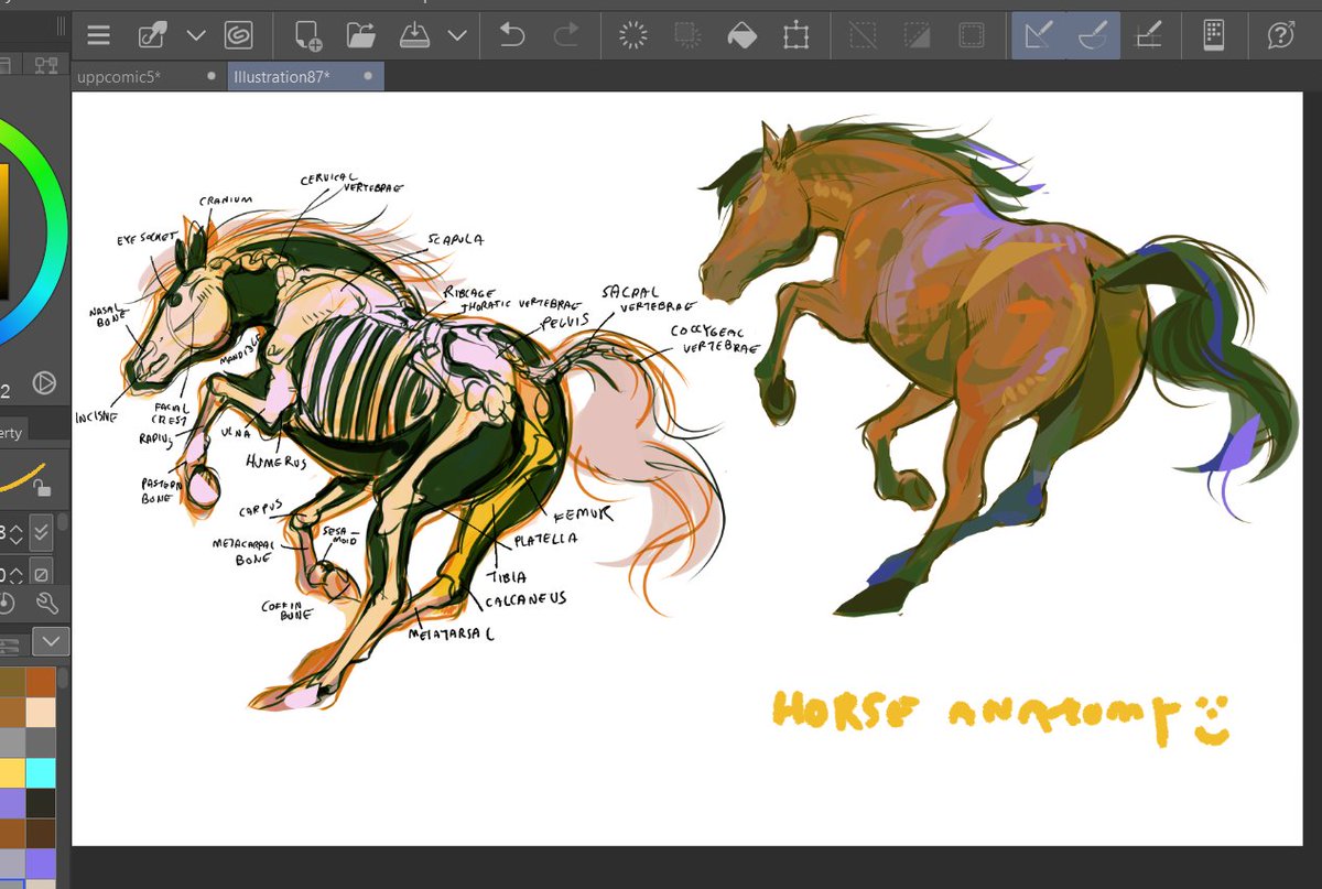 fishietwo's tweet image. my favourite thing to draw