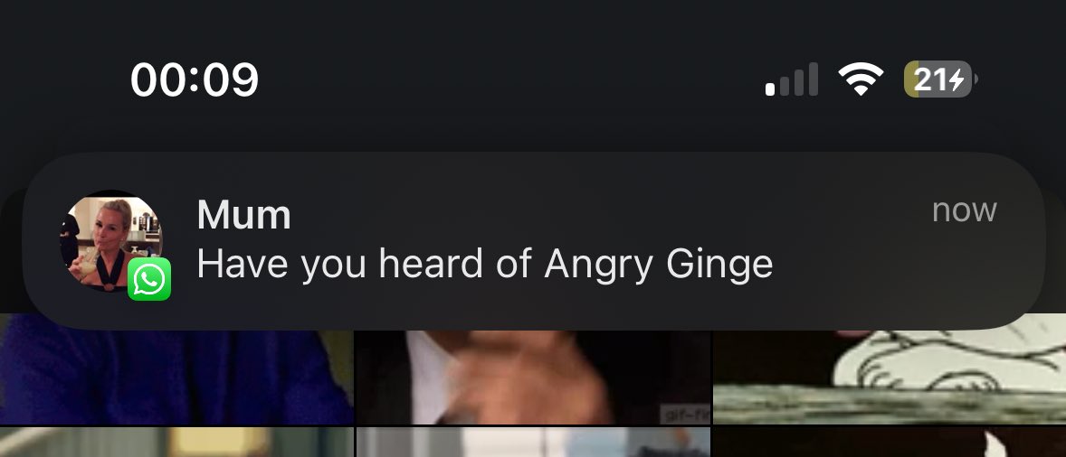 HeatherLara 🌸 🔜 Horrorcon tweet media