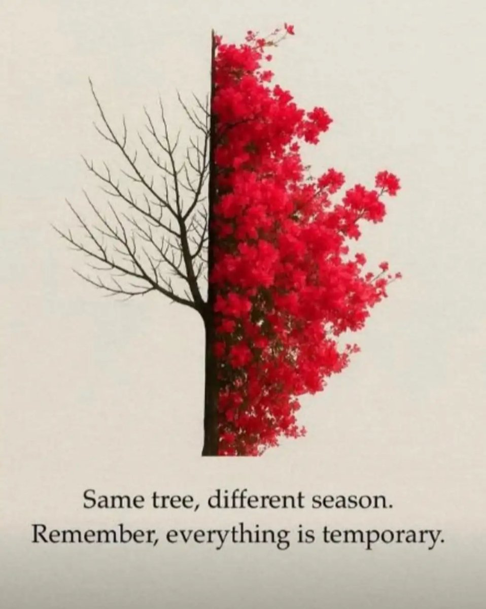 fluffernutter02's tweet image. 