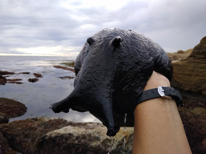 PrimordialDorks's tweet image. "Look at my son.

Pride is the word I'm looking for."