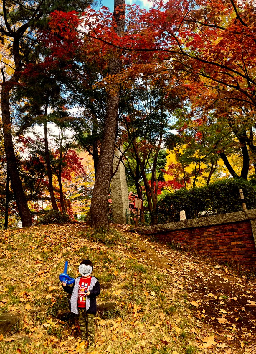 アゲハの王子様🤴
たっくん
<a href="/AGEhAwelcome/">AGEhA@東高円寺</a> 
と公園デート♫
AGEhAお店から1分の
蚕糸の森公園は今紅葉🍁がとてもキレイです✨

#撮影スポット