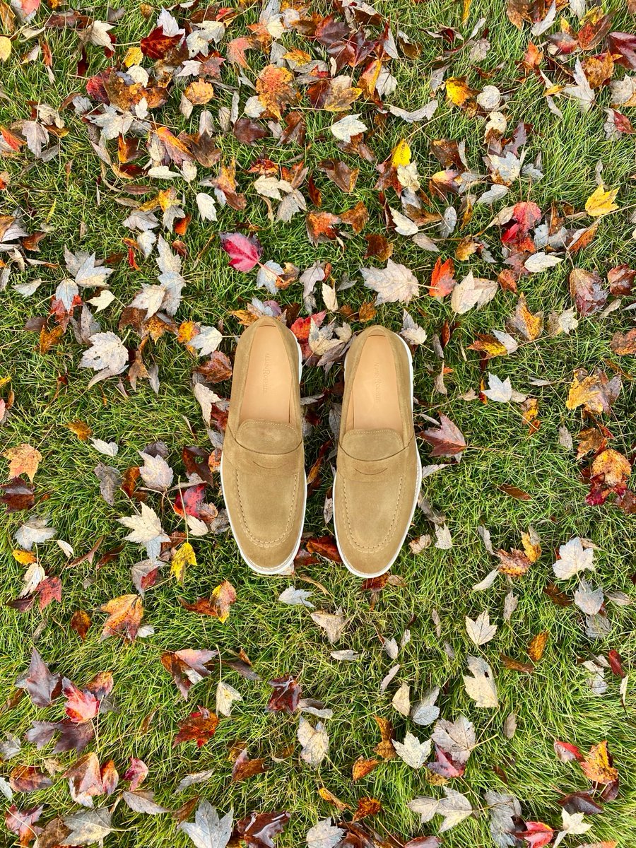 arminoehler's tweet photo. Fall foundation piece 🦃���🍁 https://t.co/6yxf8PVojo