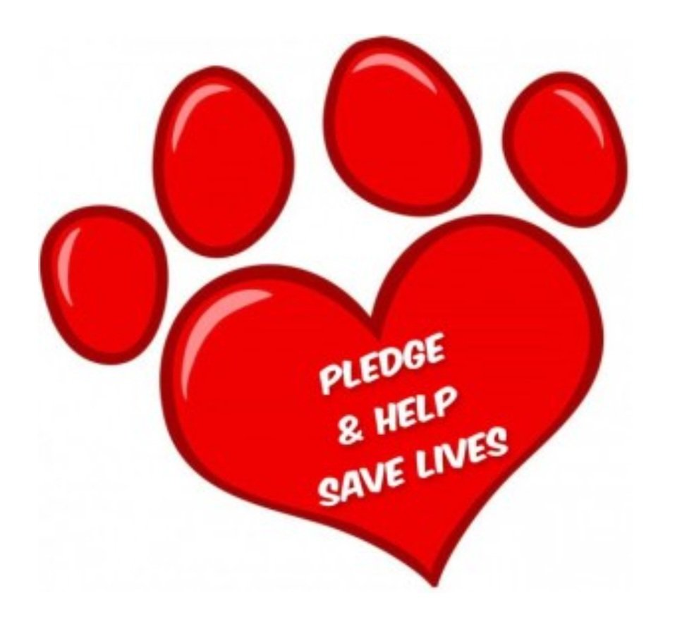 MarjonQ17isBACK's tweet image. 🚨 URGENT FINAL PLEA GIVEN 🚨 
Precious Muffin is at 💥HIGH RISK💥 of being killed tomorrow. Please don&apos;t let them kill this angel ‼️ PLEDGES DESPERATELY NEEDED 🚨 FOSTER DESPERATELY NEEDED 🚨 RESCUE DESPERATELY NEEDED 🛟 
Please share pledge foster or adopt 🙏