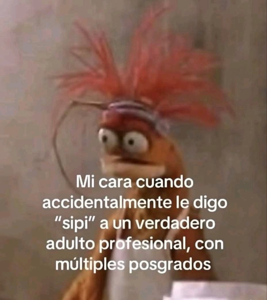 angelo_uf's tweet image. 