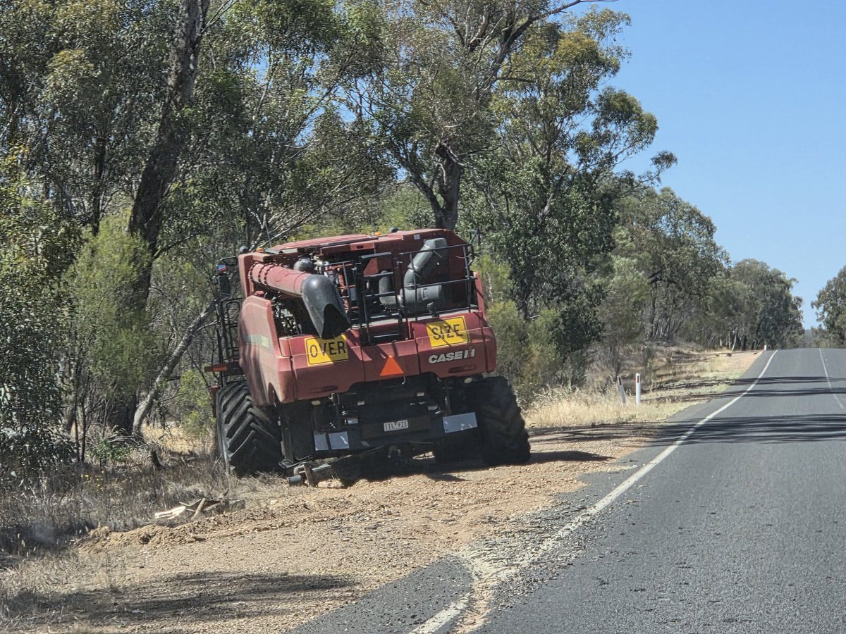 Mark Mortimer tweet media