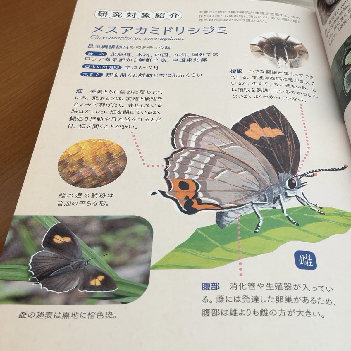 新・動物記 (@Dobutsuki_KUP) / Posts / X