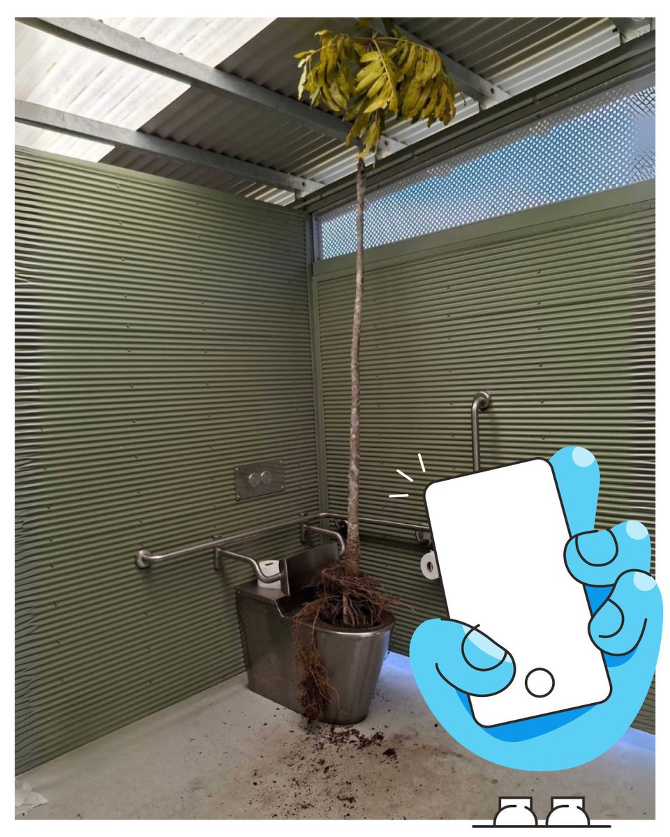 SnapSendSolve's tweet image. This tree&apos;s branching out. 🌴

We don’t know how it got there. All we know is, toilets and trees don’t usually mix, and this one’s well out of its natural habitat.

Good thing someone flushed out the issue (with a Snap, not the handle).

#ToiletTrouble #WolrdToiletDay