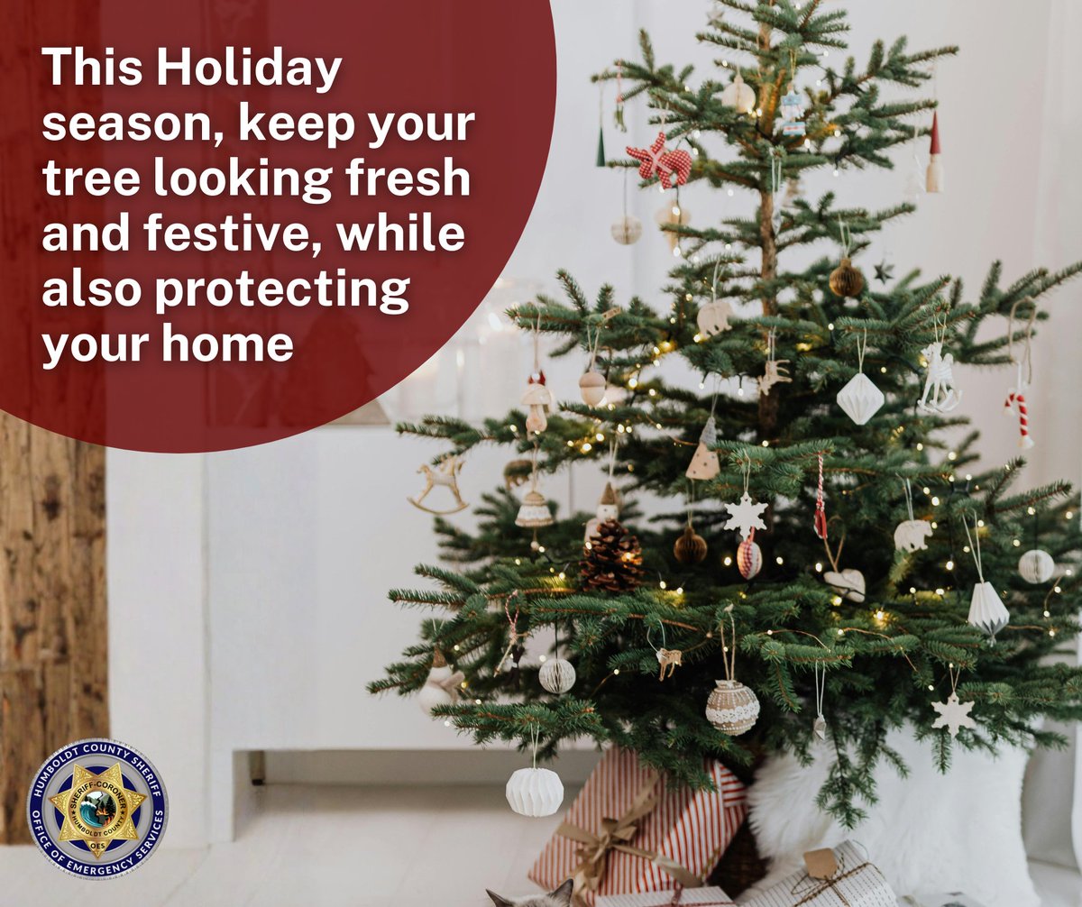 Humboldt Co OES tweet media