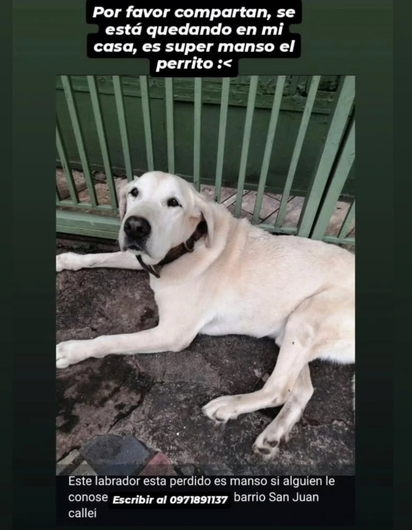 Atención zona del barrio  San Juan de Calle'i, busca a su Familia.  Por favor comparti hasta que vuelva