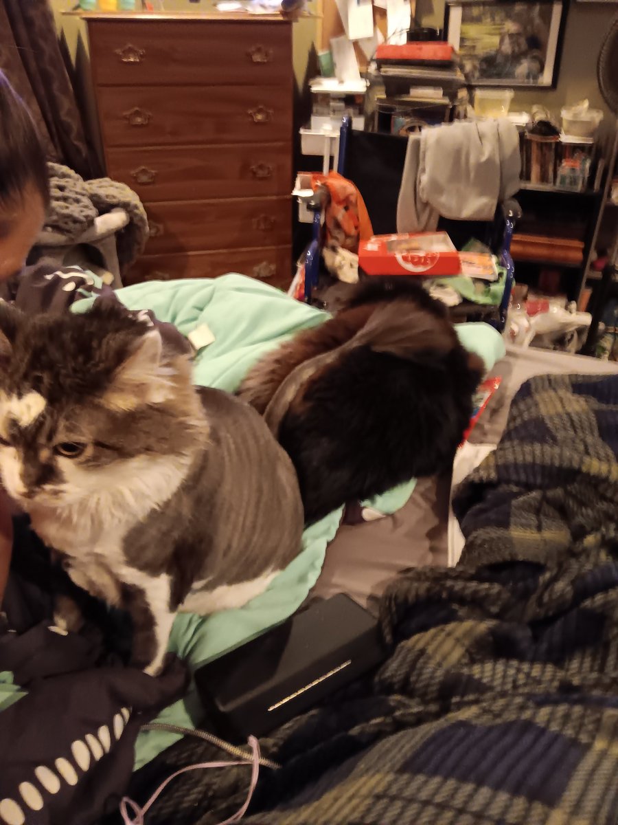 パーソナルスペースがない！