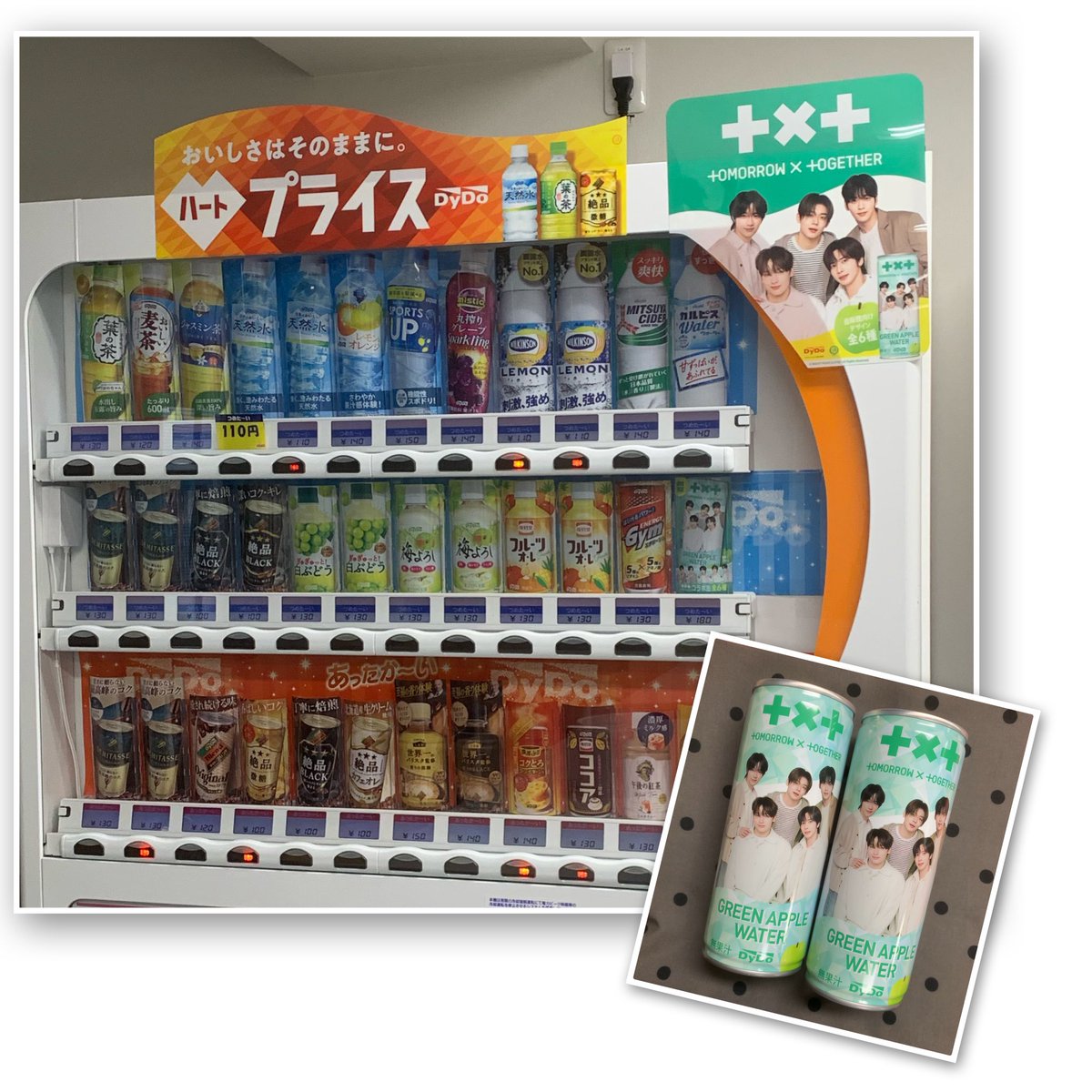 Kaorun.MOA🦥🐰🦊🧸🐿🐧 (@fluorite_mashu) / Posts / X