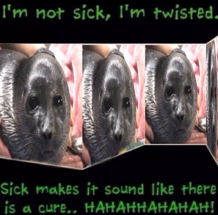 csiirac's tweet image. 