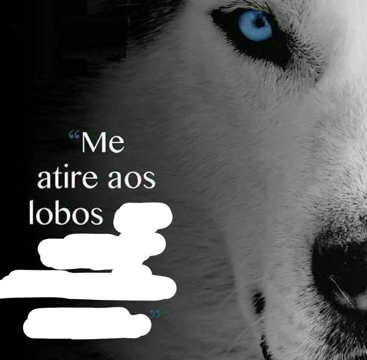 iamwillwill's tweet image. 