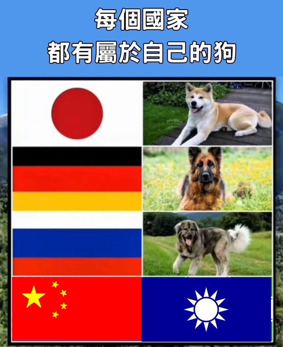 KannyLian's tweet photo. @AmbWuJianghao https://t.co/PFudikeYiB