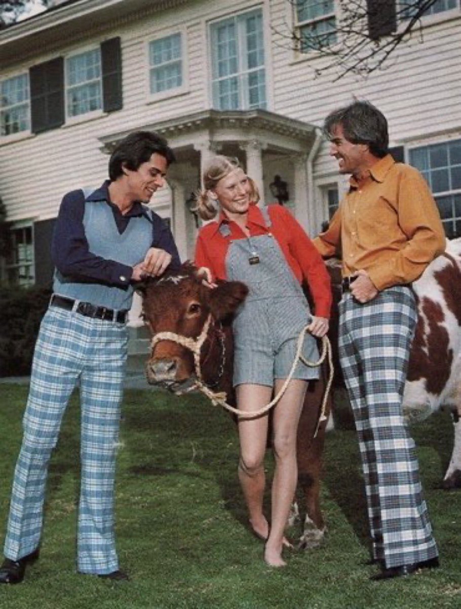 Super70sSports's tweet image. When a cute Swiss girl with a cow shows up on your front lawn, do you want to be wearing regular pants or do you want to be wearing some motherfucking game-changers?