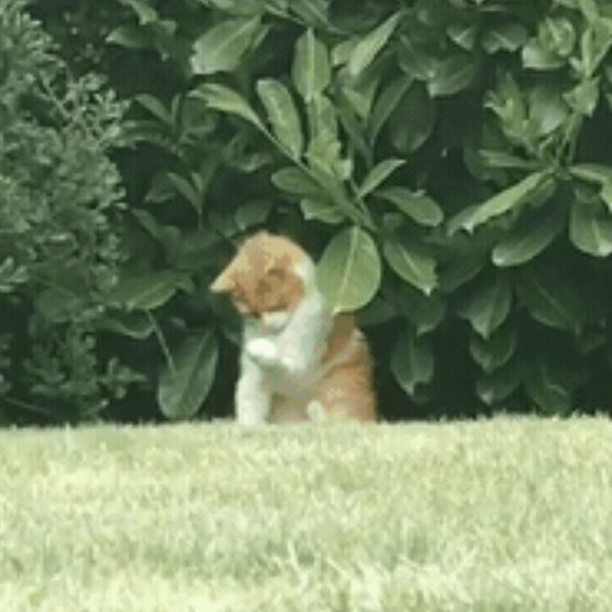 yoyoyom123's tweet image. 