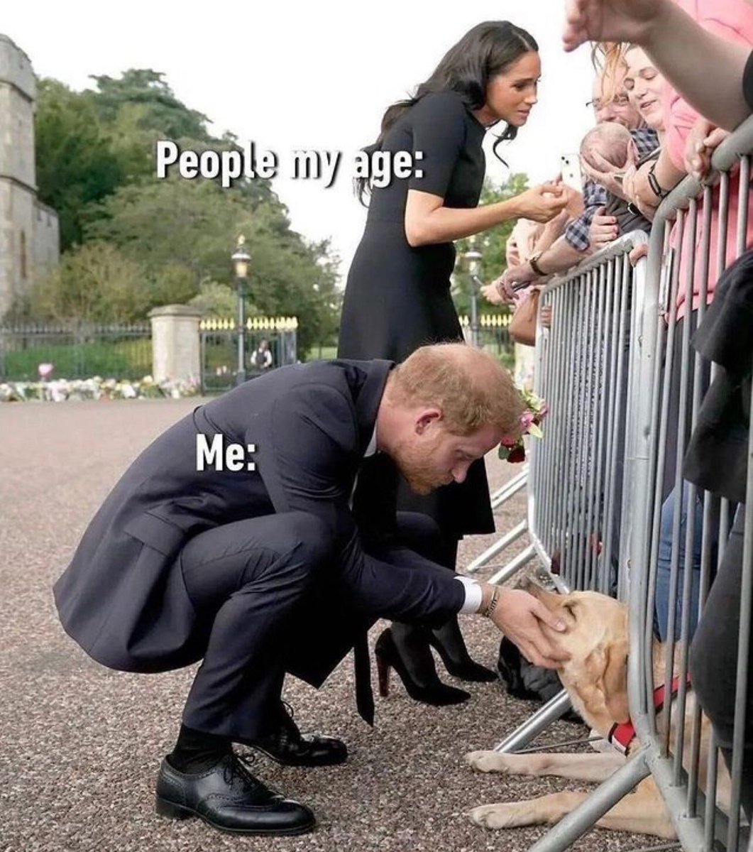 everythingdogss's tweet photo. https://t.co/iFVjV9T48d