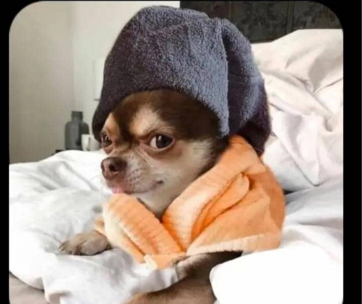 Xerman1310's tweet image. I’m studying how communities behave.
So tell me…

What’s one red flag you’ve seen in a Web3 project community? 🚩
#redflag #Web3Community