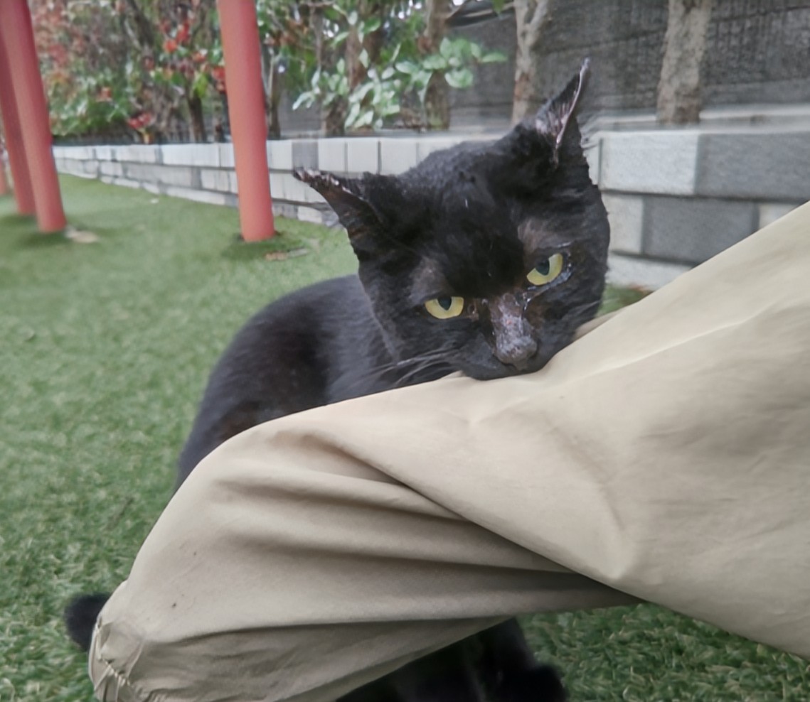 CROWSOFGANGSTA's tweet image. 👁️自国ファーストと非差別
👁️熊の脅威回避と命の尊重

どっちも一理有ると思われ

言葉足らずな部分の揚げ足取合いさせて
分断目論む輩の匂いがプンプンするゼ🐽

by 中二病の都市伝説好き←