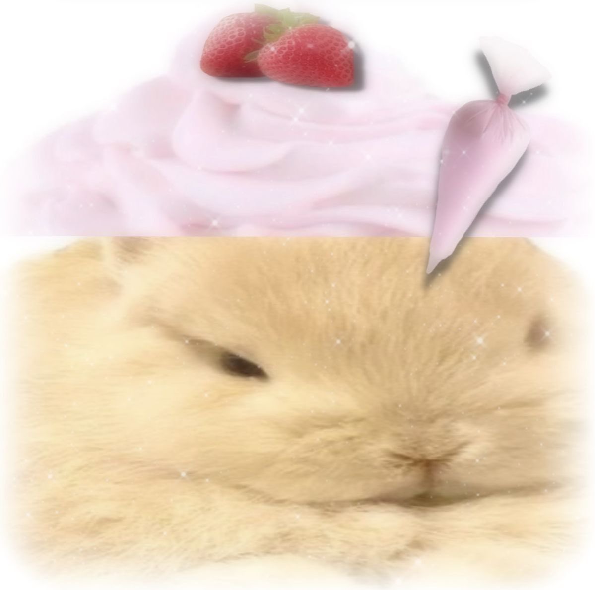 ‏ْ (@piinkifairy) on Twitter photo 