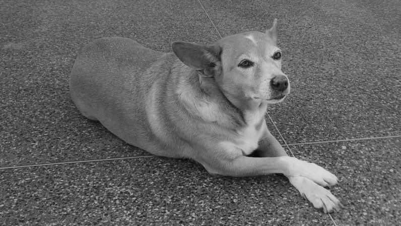 ufba_landia's tweet image. É com profundo pesar que comunicamos o falecimento de Madonna. A UFBA perde hoje um dos seus maiores símbolos do campus Ondina.