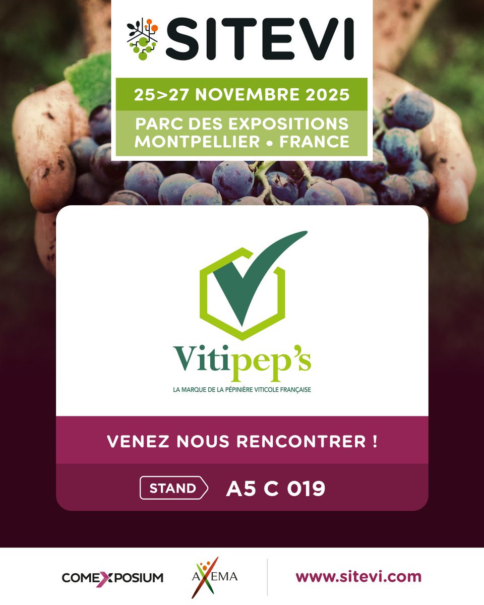 vitipeps's tweet image. Le compte à rebours est lancé !
Rendez-vous dans une semaine au Parc des Expositions de Montpellier pour le @sitevi_montpellier !
Rendez-vous sur le stand de @Vitipeps du 25 au 27 novembre, Hall A5 C 019.

#Sitevi #Sitevi2025 #SITEVItogether