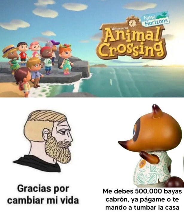 Canelita (@canela_chair) on Twitter photo 