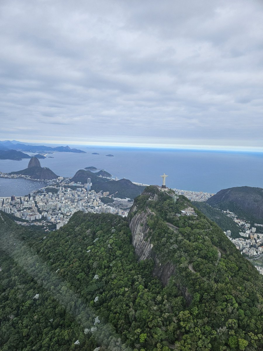 Bert Bunk tweet media