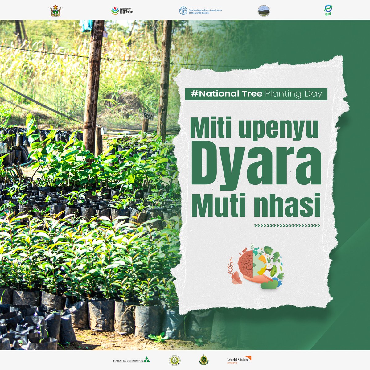 Drylands sustainable landscape impact program tweet media