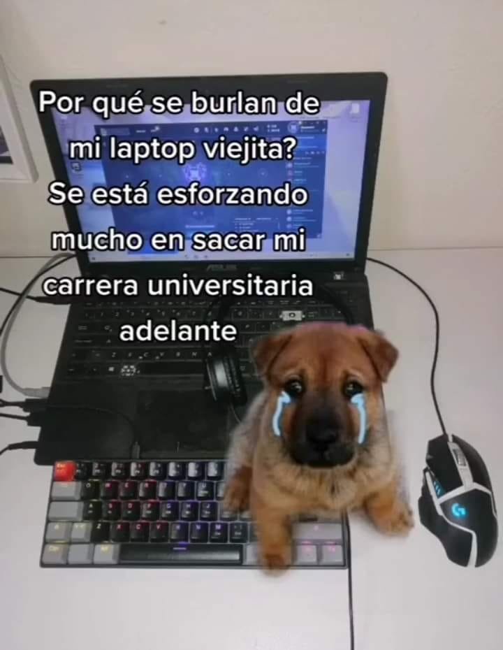 Mimairu's tweet photo. Guardé un link de la pc que me quería comprar y al otro día había aumentado 150mil pesos más.... https://t.co/dxf97gbmVb