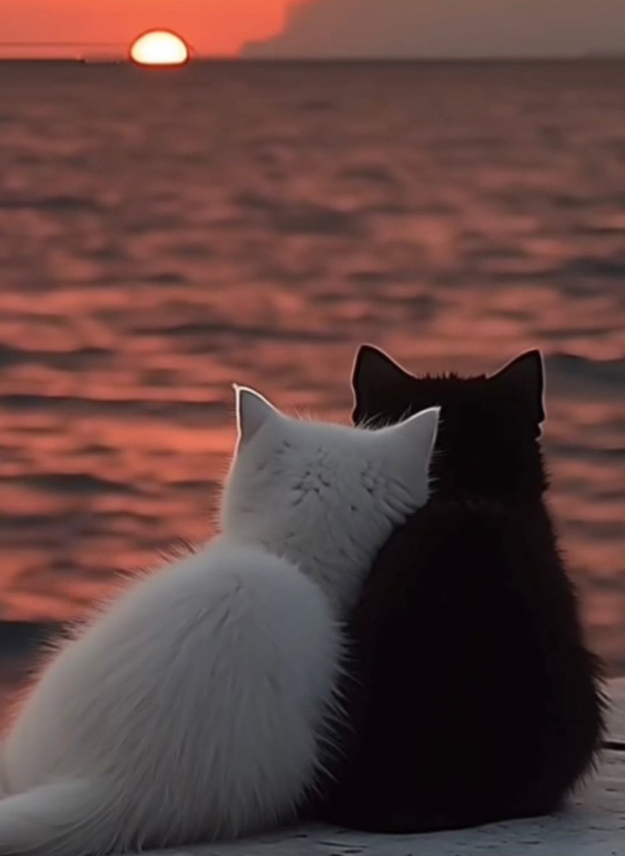 gregcatarino1's tweet image. Photo by Mo Travel

Bye