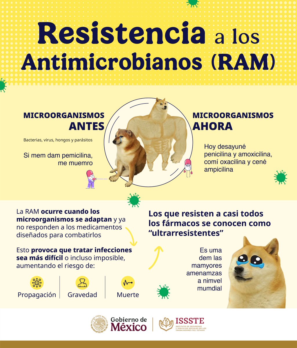 ISSSTE_mx's tweet image. 😈🦠 Cuando las bacterias se ponen rebeldes, los medicamentos dejan de funcionar. 💊🚫

La Resistencia a los Antimicrobianos (RAM) no es ciencia ficción, es una amenaza real para la salud mundial, tanto en personas como en animales. 🙅🏻‍♀️🐾🙅🏻‍♂️

😷 Esto hace que las infecciones sean…