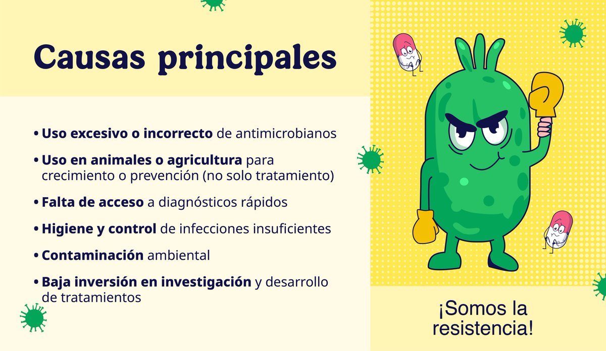 ISSSTE_mx's tweet image. 😈🦠 Cuando las bacterias se ponen rebeldes, los medicamentos dejan de funcionar. 💊🚫

La Resistencia a los Antimicrobianos (RAM) no es ciencia ficción, es una amenaza real para la salud mundial, tanto en personas como en animales. 🙅🏻‍♀️🐾🙅🏻‍♂️

😷 Esto hace que las infecciones sean…