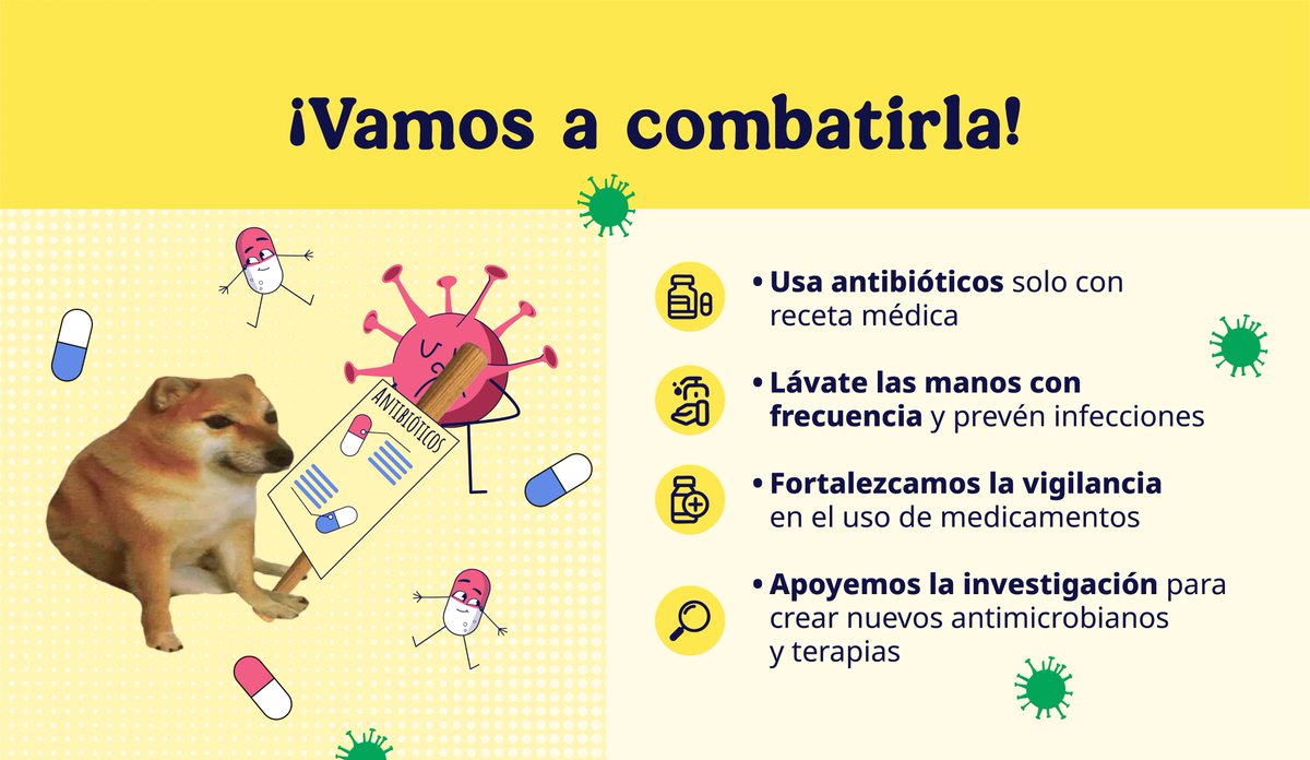 ISSSTE_mx's tweet image. 😈🦠 Cuando las bacterias se ponen rebeldes, los medicamentos dejan de funcionar. 💊🚫

La Resistencia a los Antimicrobianos (RAM) no es ciencia ficción, es una amenaza real para la salud mundial, tanto en personas como en animales. 🙅🏻‍♀️🐾🙅🏻‍♂️

😷 Esto hace que las infecciones sean…