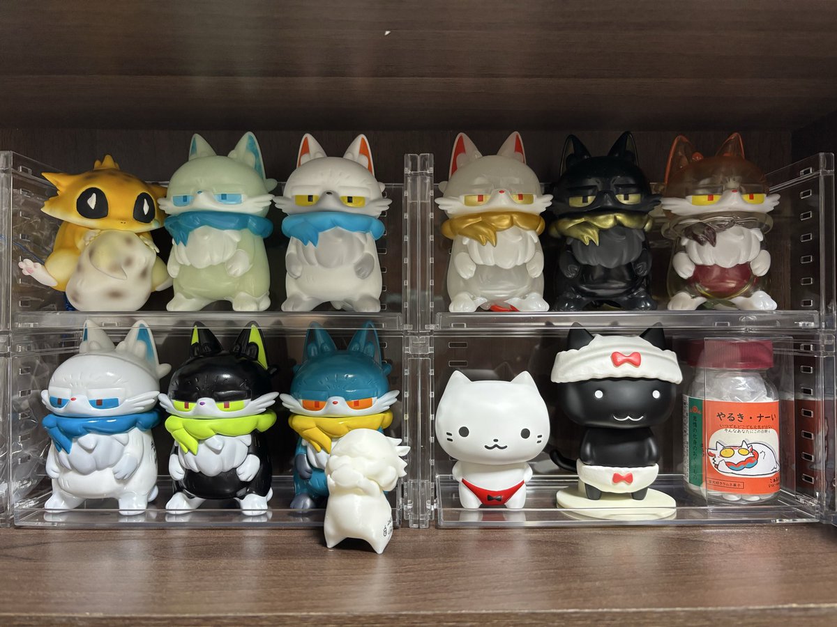 more-cats WTC (@morecats4) / Posts / X