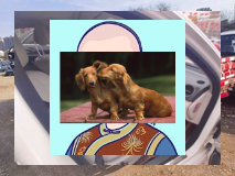 638990937600064354_58Помог маме с приготовлением варенья яблочное варенье с корицей.638990937600064354_58