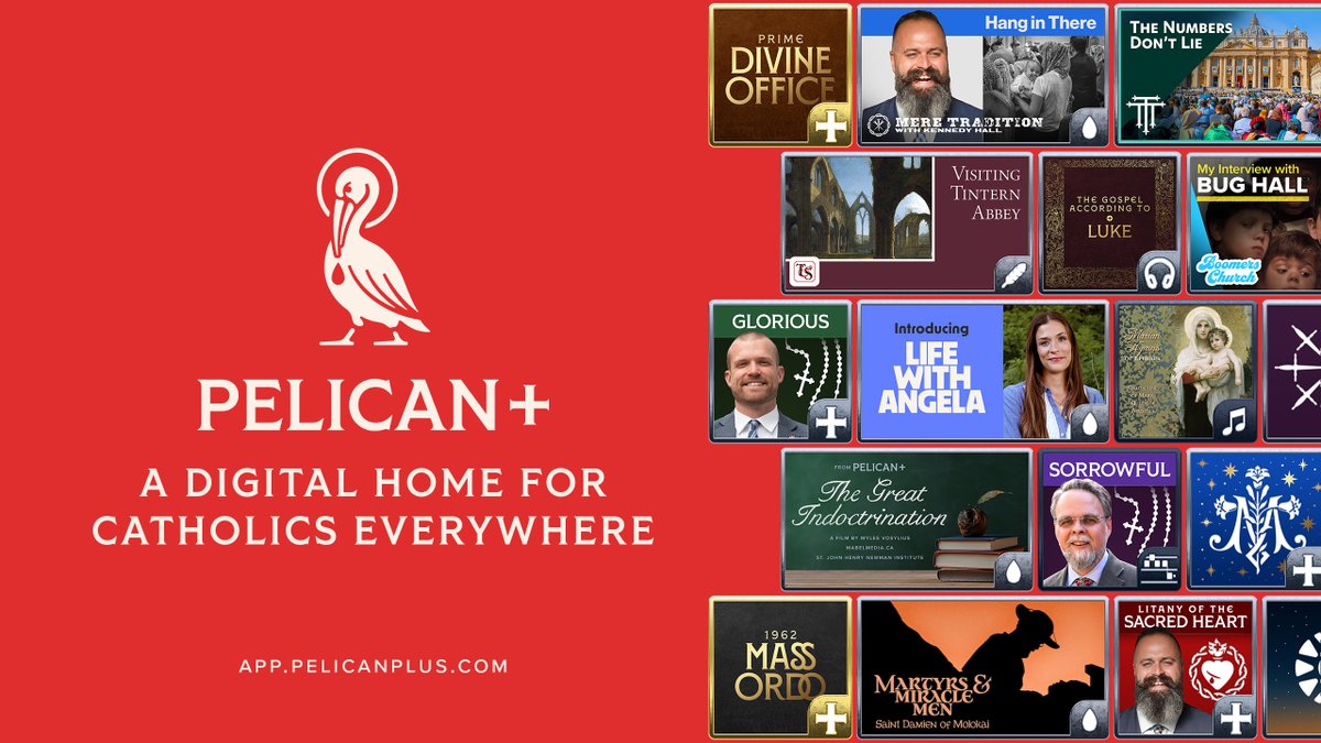 Self-proclaimed "faithful creators". Yet, St. Pius X said that "the first and greatest criterion of the faith, the ultimate and unassailable test of orthodoxy is obedience to the teaching authority of the Church, which is ever living and infallible" (Con Vera Soddisfazione). 