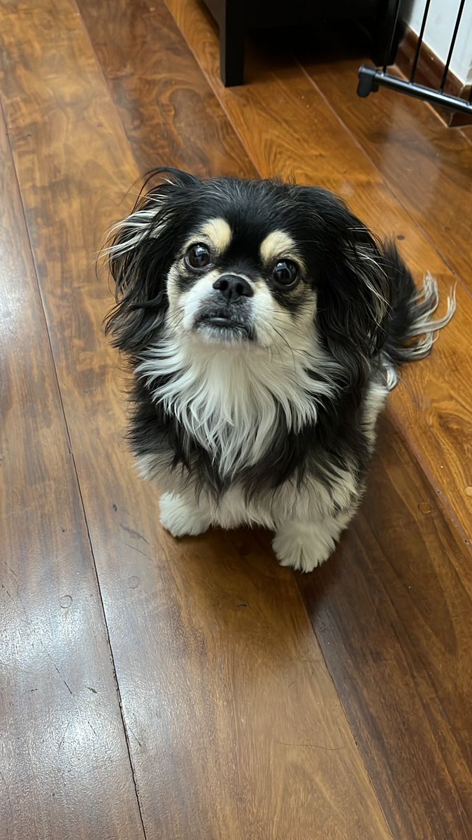 Professor Nerd ✏️🎮🖖🏼🎙️🎸💚✠ tweet media