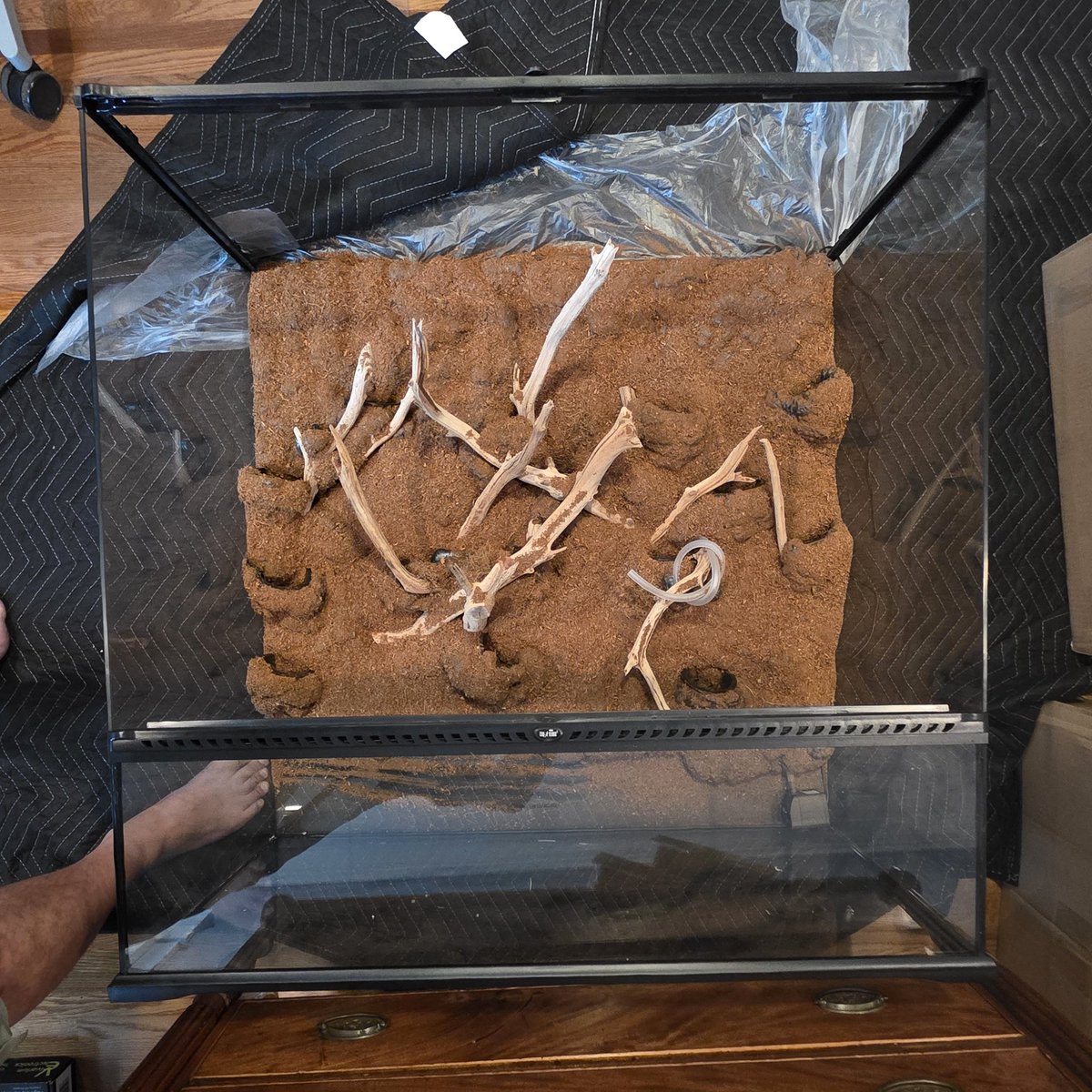 Today I began the build of a massive paludarium to house rare poison dart frogs and critically endangered tree frogs