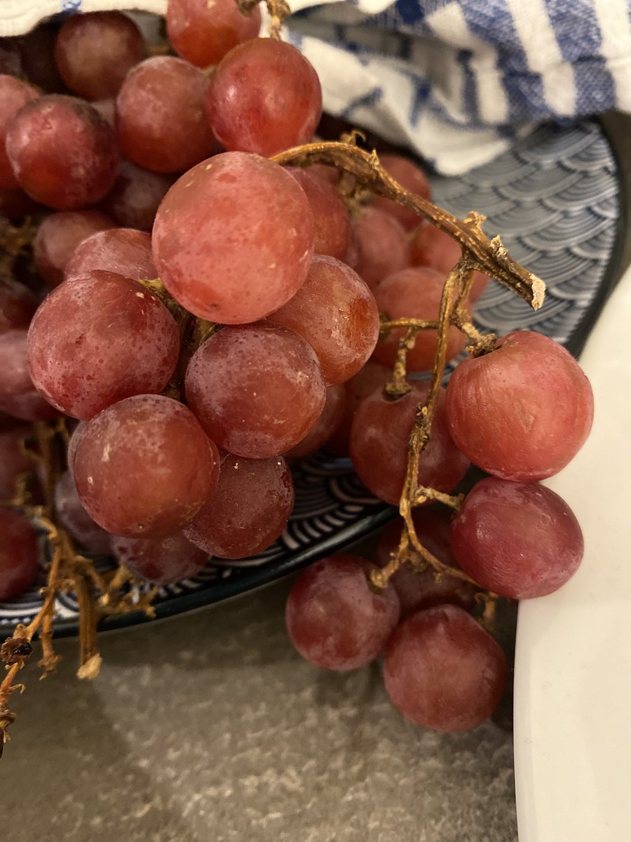 Sonia Zuccaro tweet media