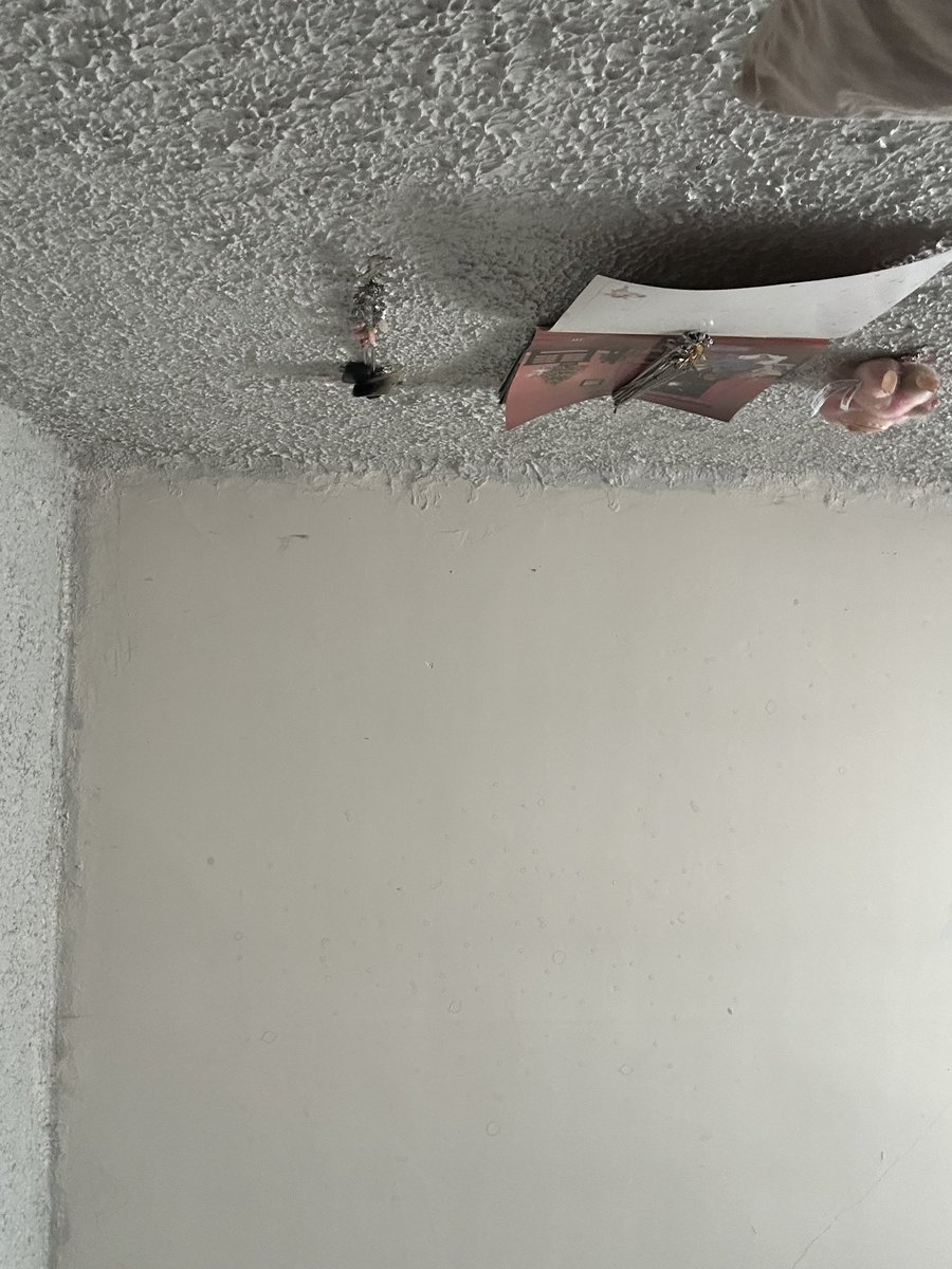 cryingfossil's tweet image. 