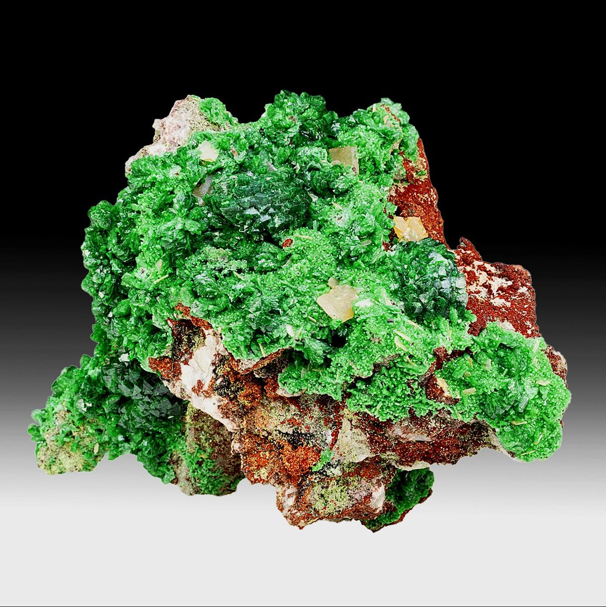 geologyBits's tweet image. 🟥 ⛏️ Adamite
It is a zinc arsenate mineral with the formula Zn₂(AsO₄)(OH), orthorhombic crystal system, Mohs hardness 3.5, specific gravity 4.3 to 4.5.

❤️ 🔁 #Adamite #FluorescentMinerals
