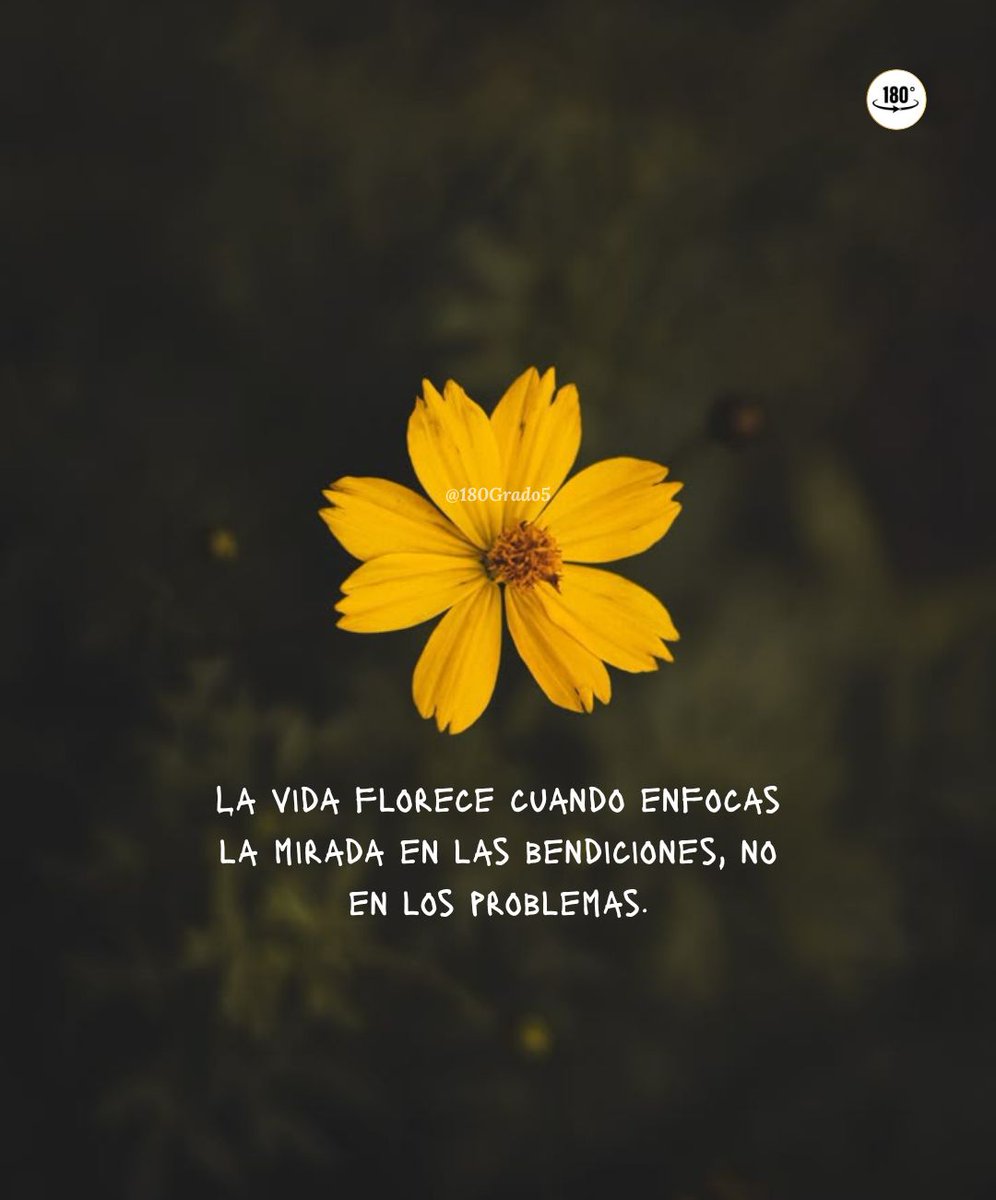 🌻🌻