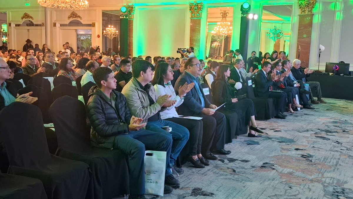 Un convenio que busca impulsar acciones conjuntas orientadas a la sostenibilidad fue suscrito por la Gremial Forestal y GREPALMA. El acuerdo plantea cooperación en producción responsable, restauración forestal y mecanismos de trazabilidad para evitar la deforestación