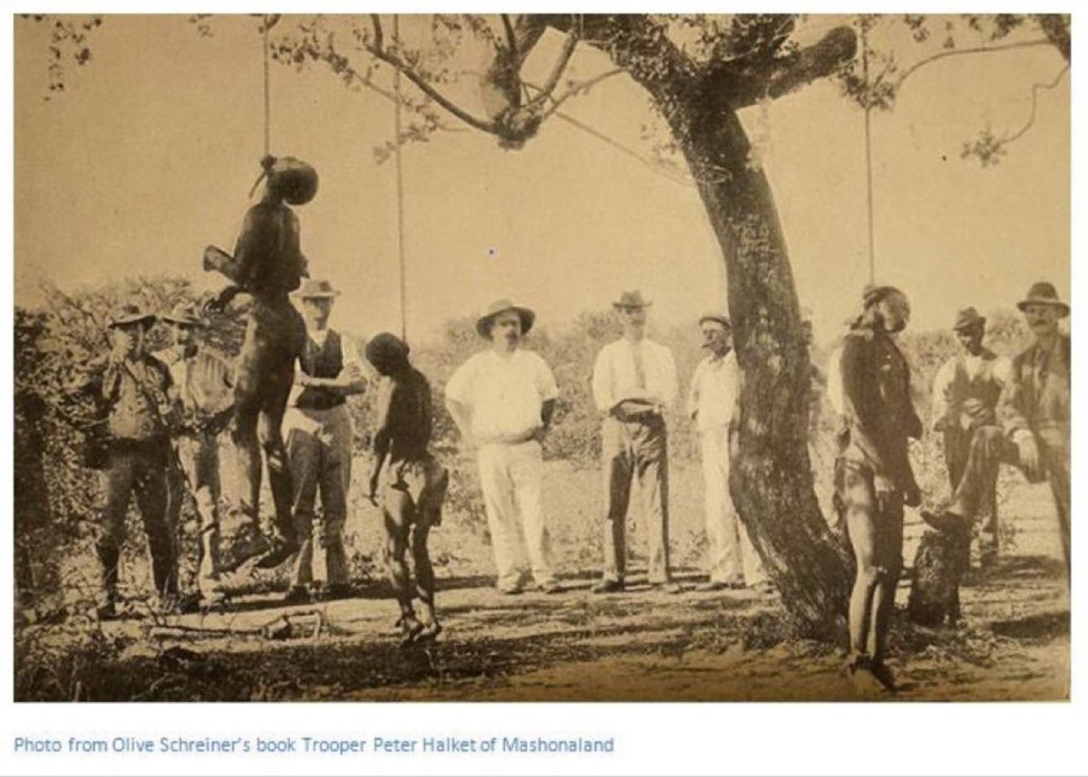 King__Bantu's tweet image. Le passé de tes ancêtres ça ne s’oubli pas. 

L’homme noir n’est pas dans ce monde pour être le souffle douleur des arabes/blancs. C’est deux peuples continuent de nous tuer, au Soudan 🇸🇩 au Congo 🇨🇩 en Haïti 🇭🇹… 

Ils espèrent que le Mali 🇲🇱 tombe aussi 

Ni oubli ni pardon