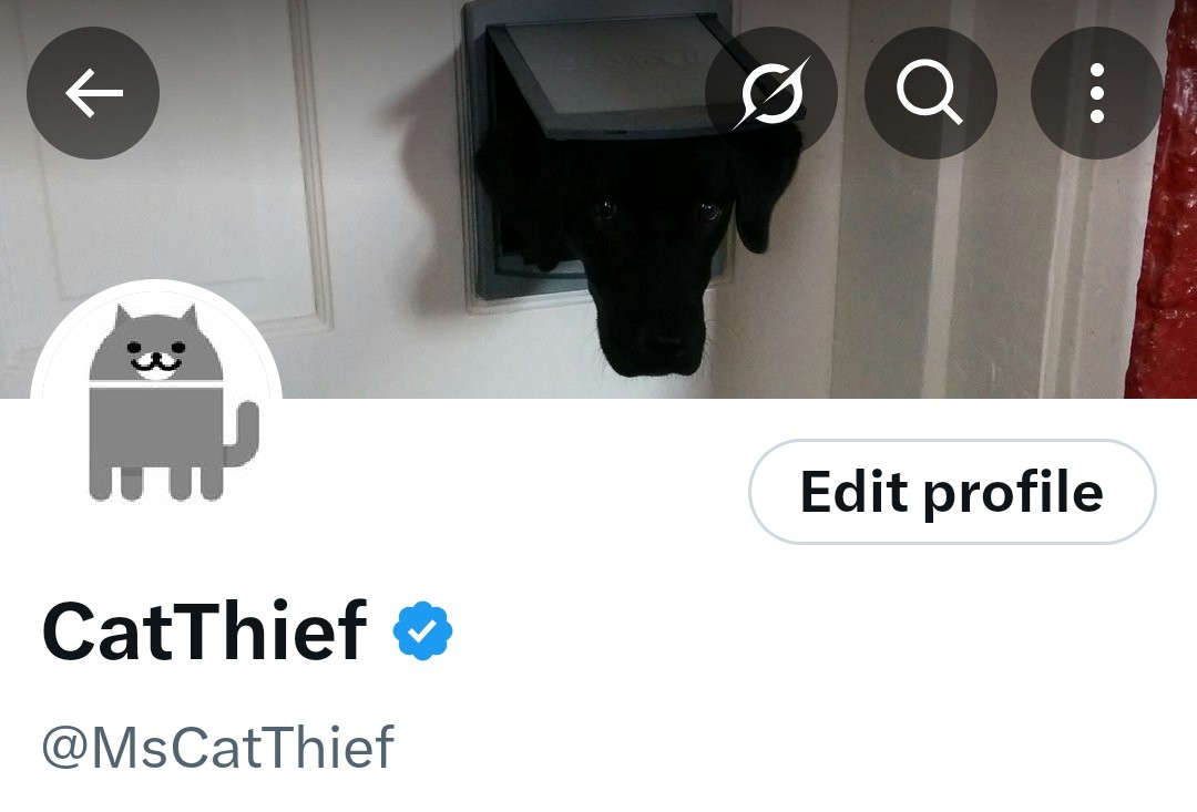 MsCatThief's tweet image. Just received a renewal notice for my blue checkmark here on X. I decided to NOT renew, so as of Nov 25 the checkmark will be gone. Oh well, simply can&apos;t justify paying $114.99 for a subscription. #bluecheckmark #X #subscription