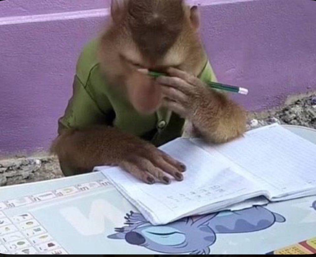 trucvvv's tweet photo. petit singe du jour 🥰 #studyday #pas2ralentir #concentrão https://t.co/HwZxnswFa0