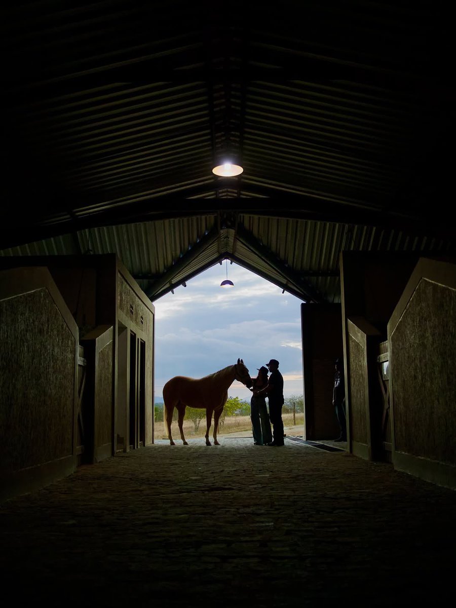 بحر 🌊 (@butterflless) on Twitter photo 