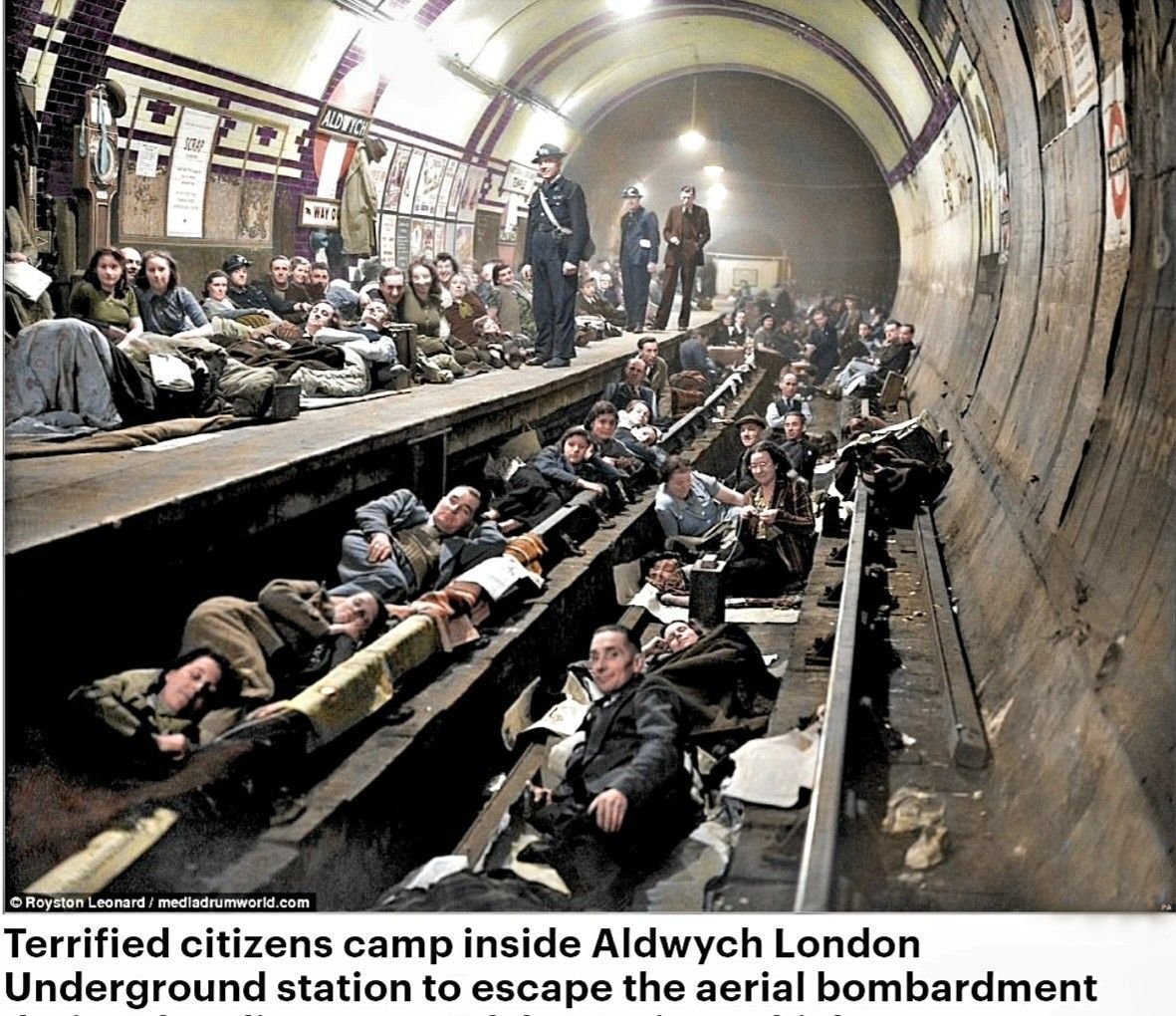 Вера Измайлова tweet media