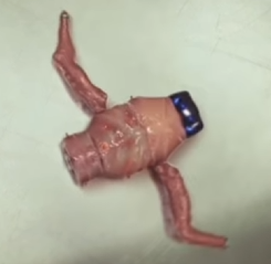 chad dev tweet media